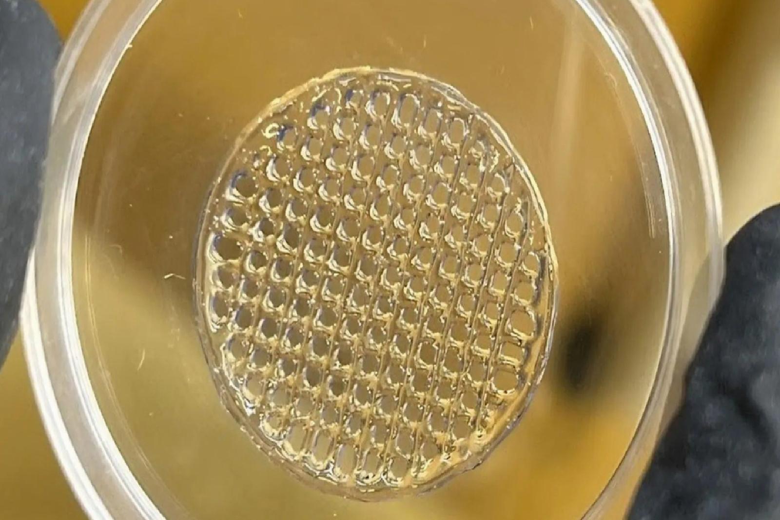3D baskılı deri teknolojisi, kozmetik sektöründe hayvan deneylerinin sonunu getirebilir