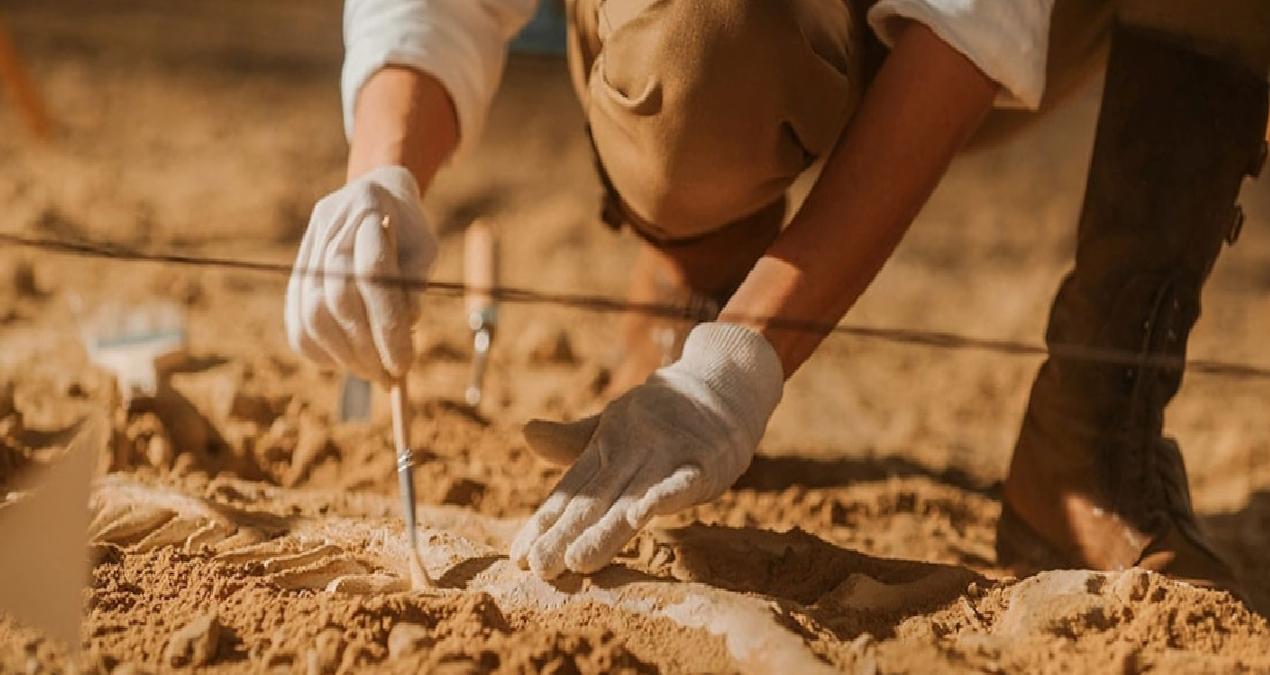 4 bin yıllık iskelet gizemi çözdü! Kadınlar böyle yük taşıyormuş…