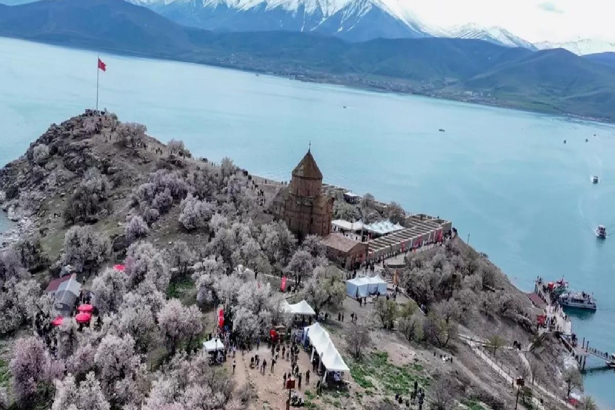 Akdamar Adası’nda Badem Çiçeği Festivali