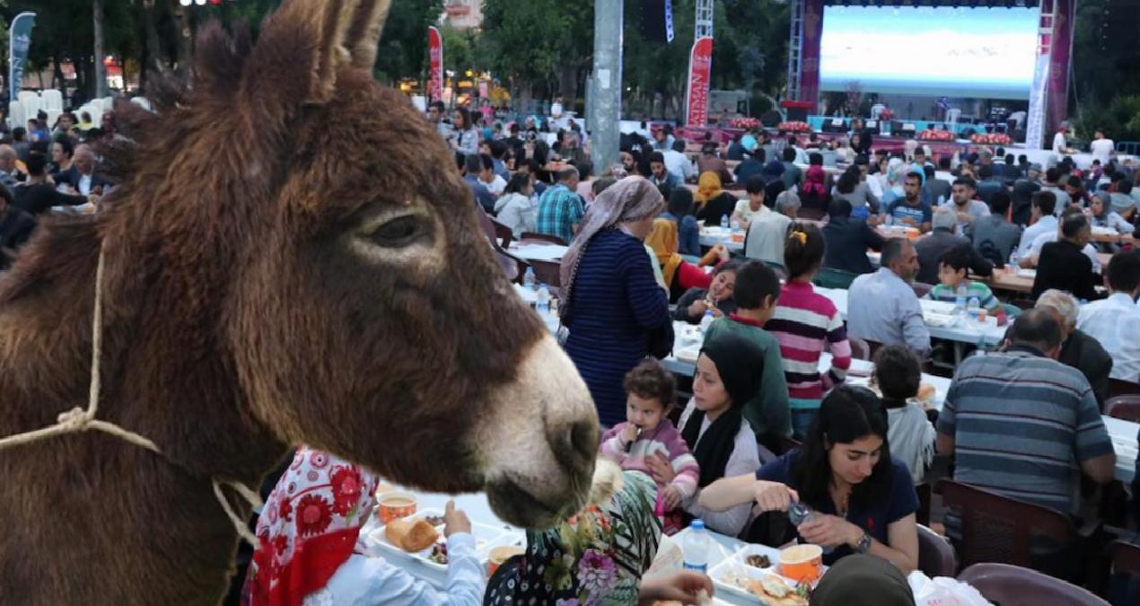 AKP’li belediyenin iftar yemeklerini verdiği firma vatandaşa eşek eti yedirmiş