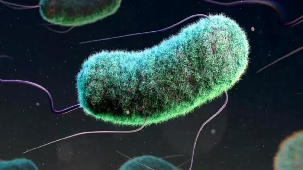 Antibiyotik Direnci: 3 Milyon Çocuk Hayatını Kaybetti