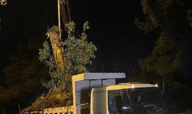 Aydın Büyükşehir Belediyesi’nden Şiddetli Yağış ve Fırtınaya Karşı Hızlı Müdahale