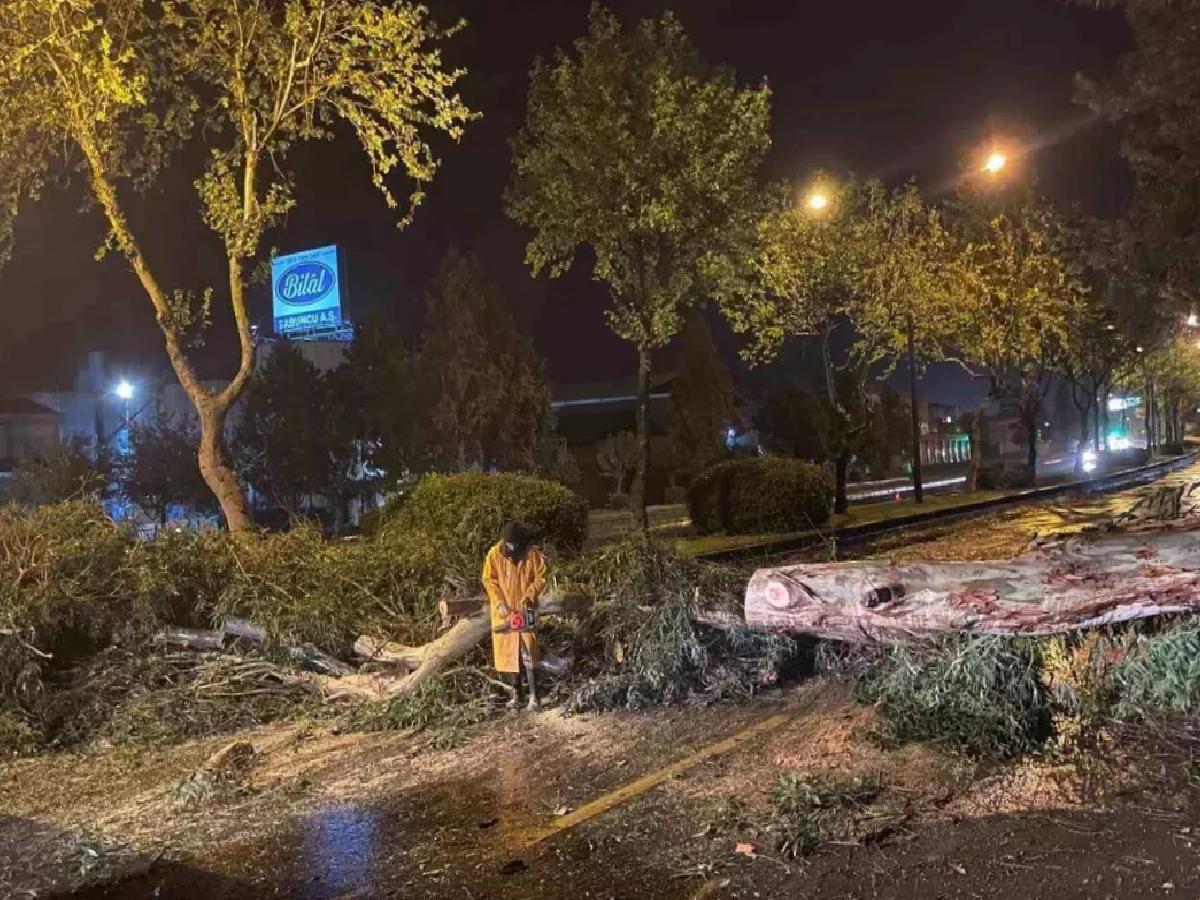 Aydın’da Şiddetli Yağış ve Fırtınaya Önlem
