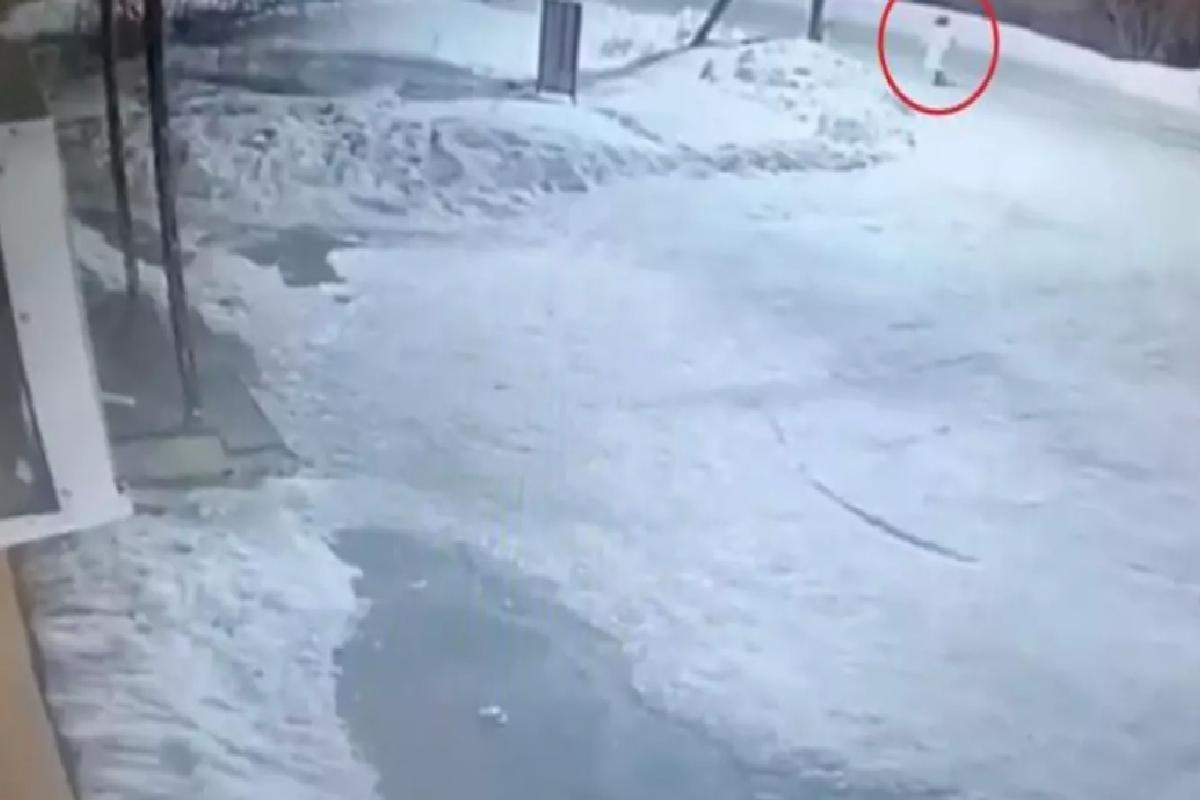 Ayı saldırısına uğrayan kadından geriye sadece kafası kaldı