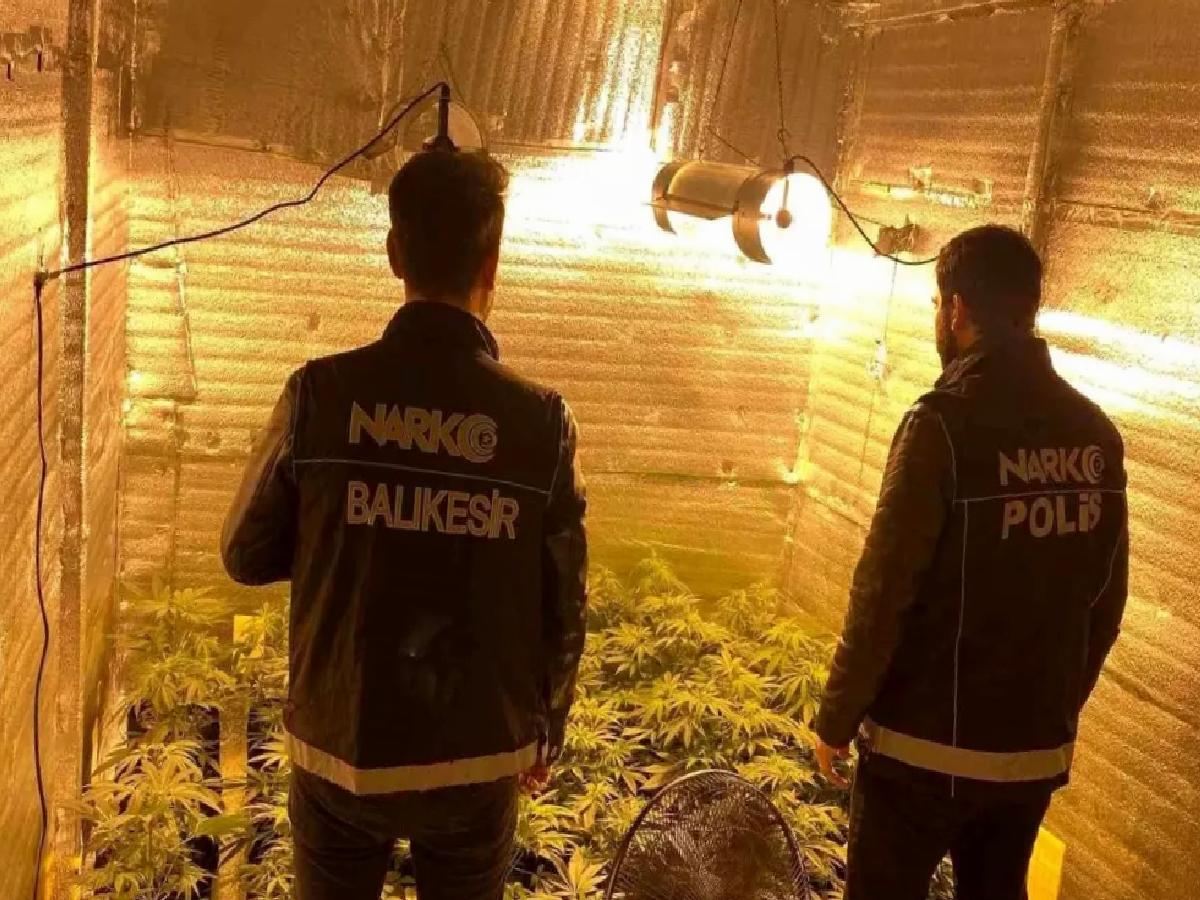 Ayvalık’ta Uyuşturucu Operasyonu