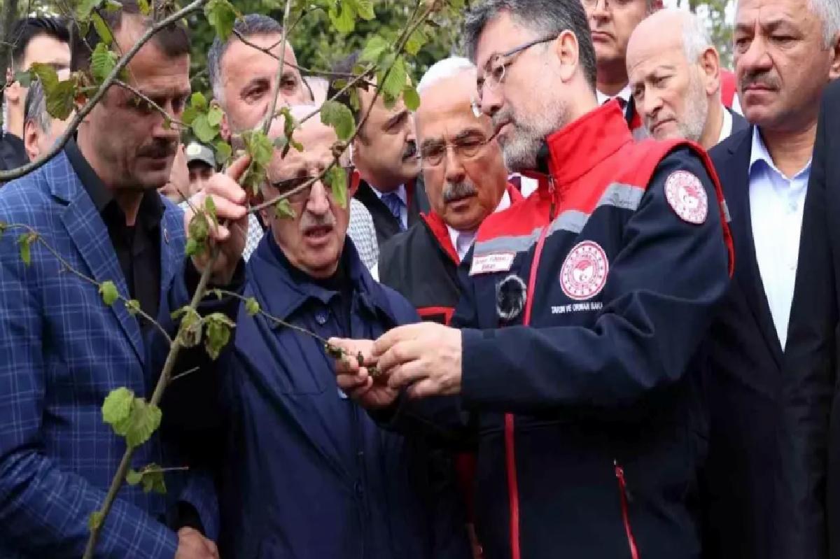 Bakan Yumaklı: “Zirai don nedeniyle zarar gören ağaçlarda kulaktan dolma bilgilerle budama yapılmamalı”