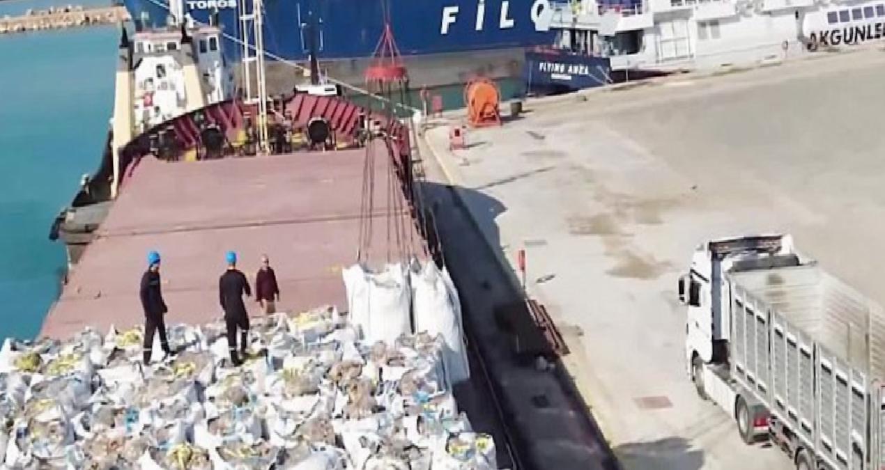 Bakanlığın kararı üreticiyi isyan ettirdi: 300 bin ton çürümeyi bekleyecek