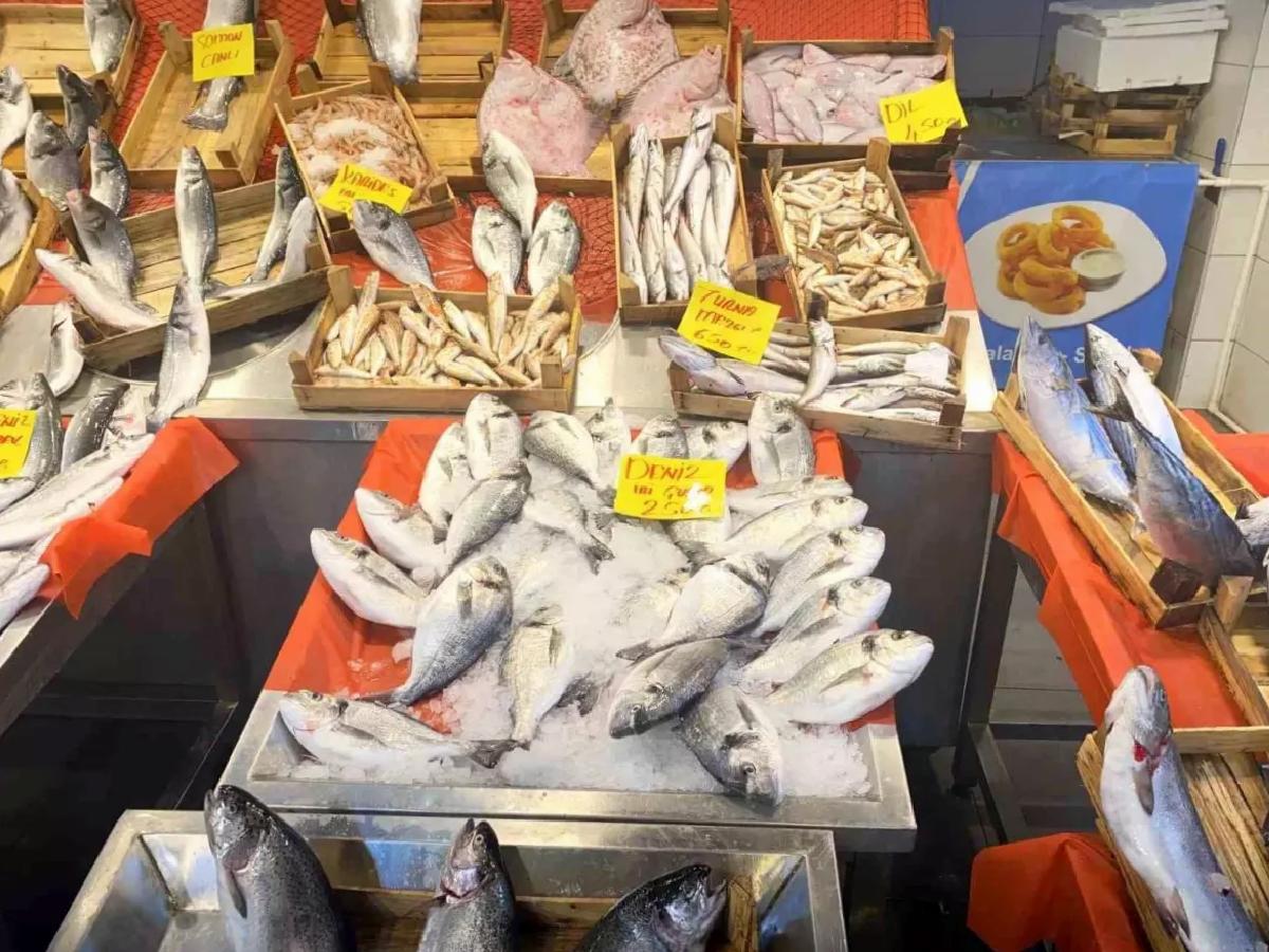 Balık Avı Sezonu Sona Erdi
