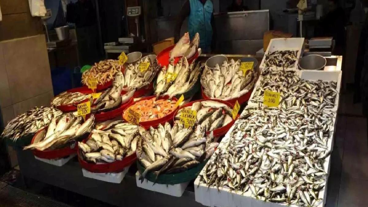 Balık Avı Sezonu Sona Erdi