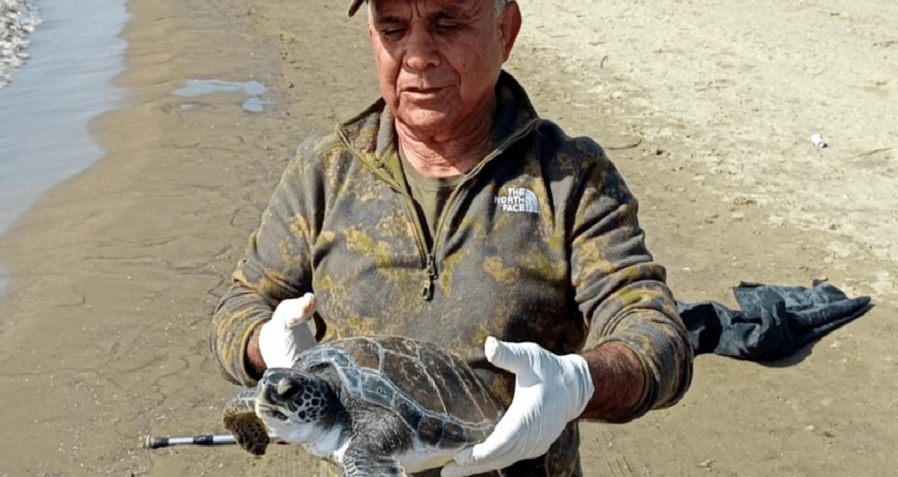 Balıkçı’nın dikkati ölmek üzere olan caretta carettayı kurtardı