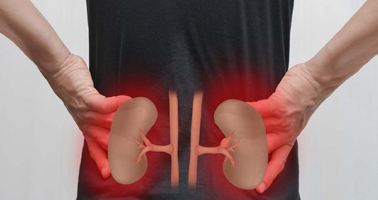 Böbreklerinizi yavaş yavaş tüketen 7 alışkanlık: Herkes düzenli yapıyor…