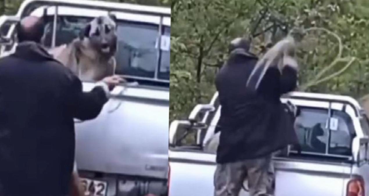 Cani adam köpeğe halatla işkence etti