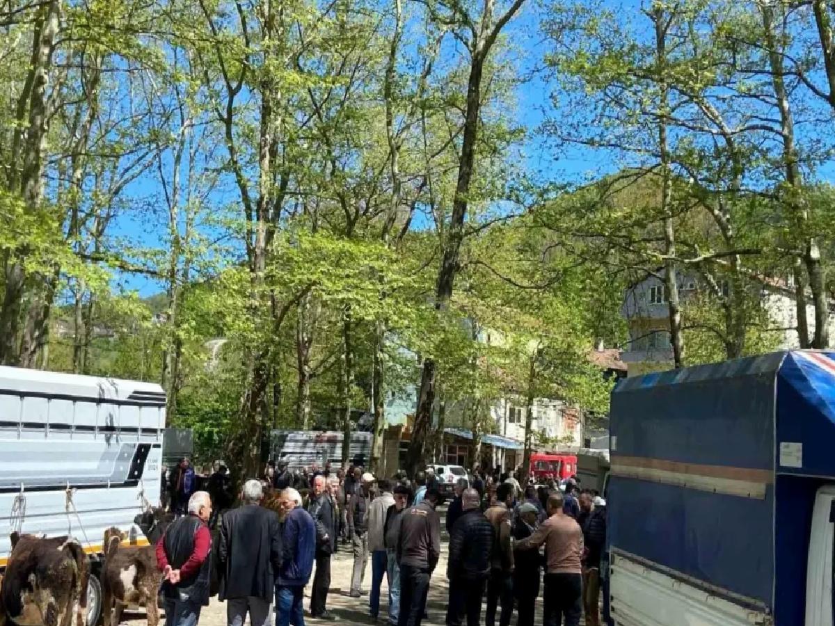 Çarşamba Pazarı’nda Kurbanlık Hareketliliği
