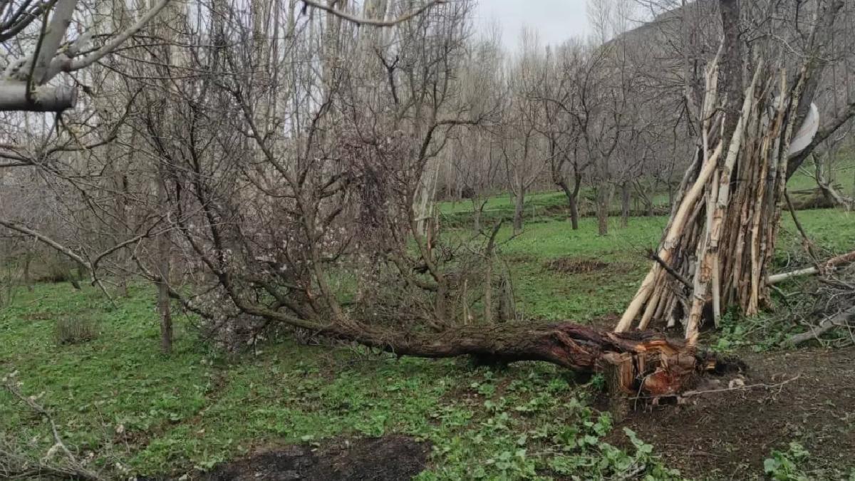 Çatak’ta Fırtına 50 Evi Vurdu