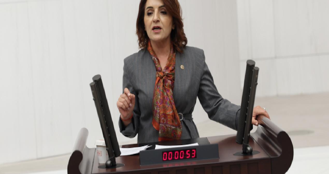 CHP’li Gülcan Kış, limon ihracatına getirilen yasağı eleştirdi