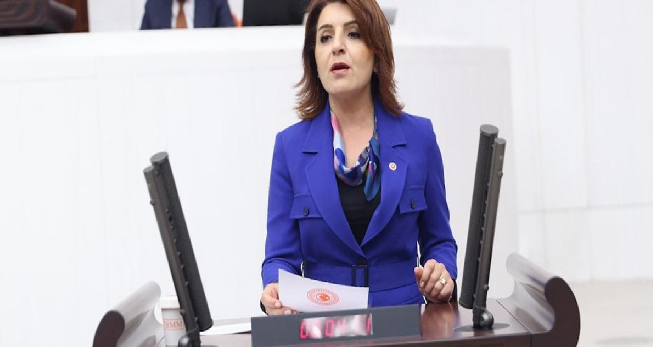 CHP’li Kış: Sarayın lüksü halkın geçim derdiyle ödeniyor