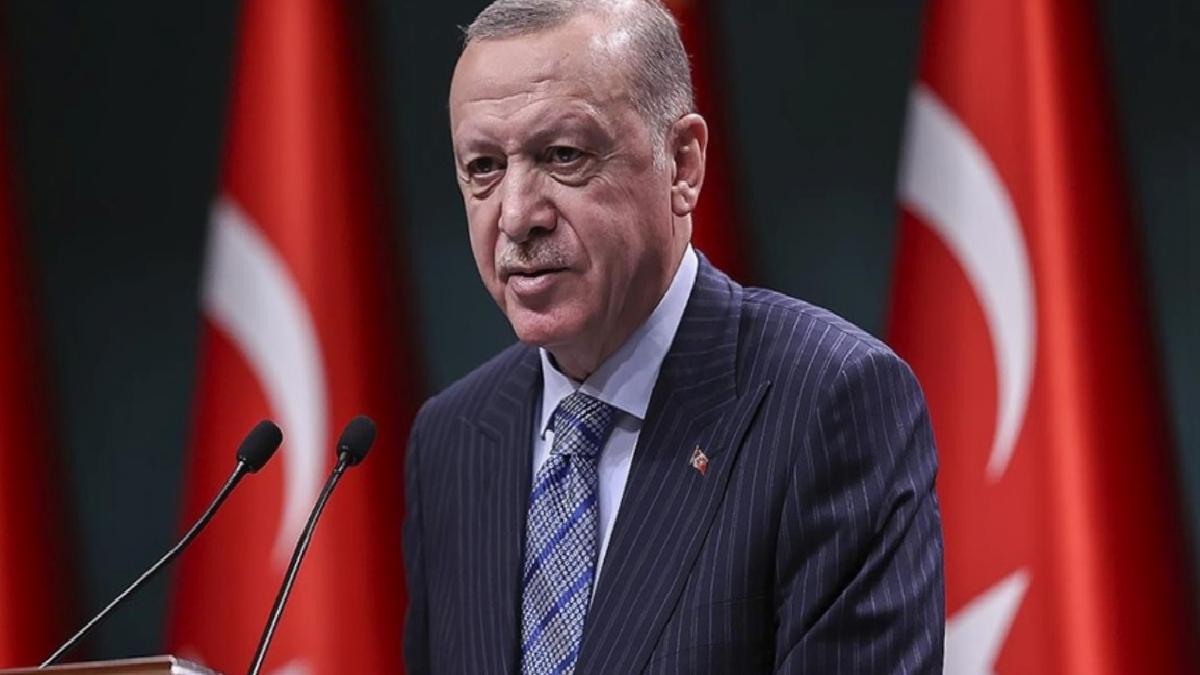 Cumhurbaşkanı Erdoğan: Batı karşısında eğilenler dik duruşumuzu anlayamaz