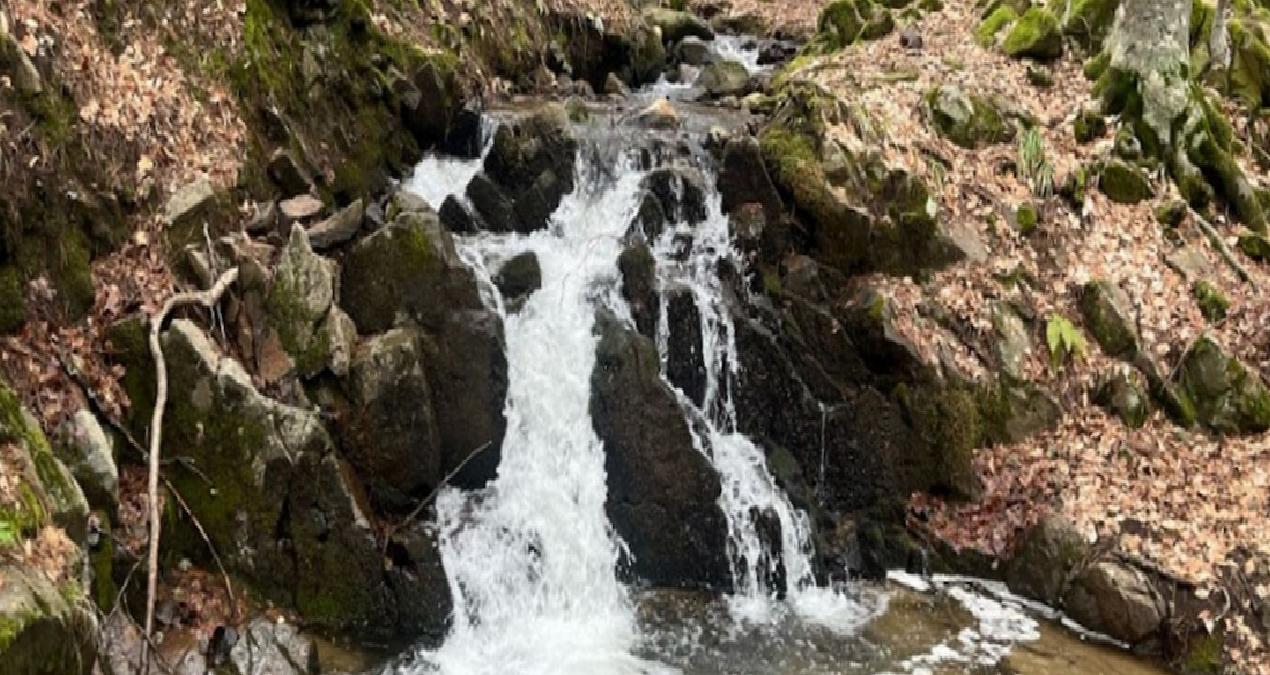 Domaniç Dağları’na ziyaretçi akını