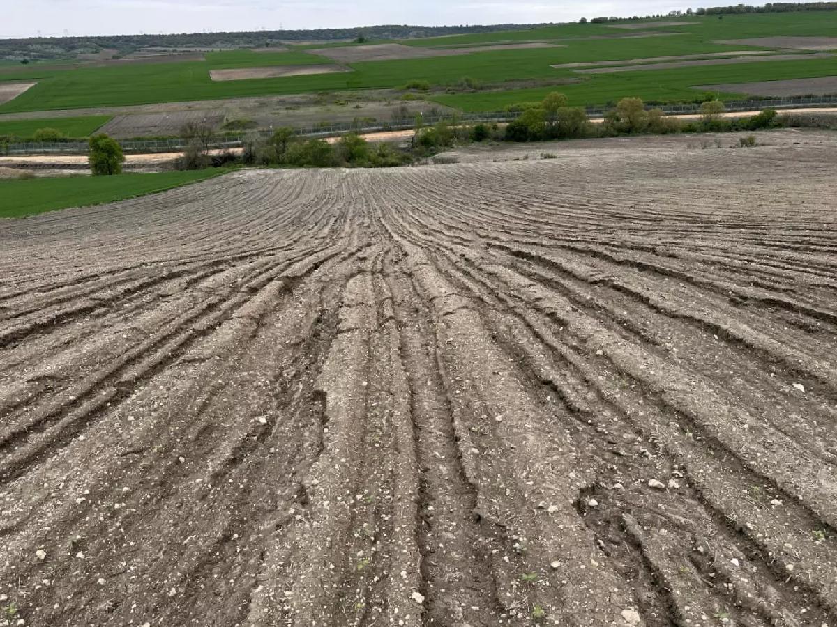 Edirne’deki Çiftçi Dolu Sonrası Zararını Sigorta Şirketine İtiraz Ediyor