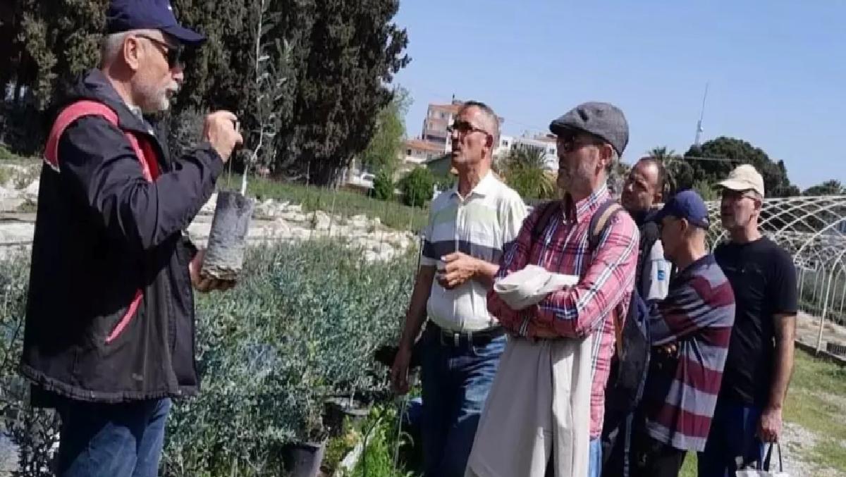 Edremit’te Zeytin Budamacılığı Kursu Tamamlandı