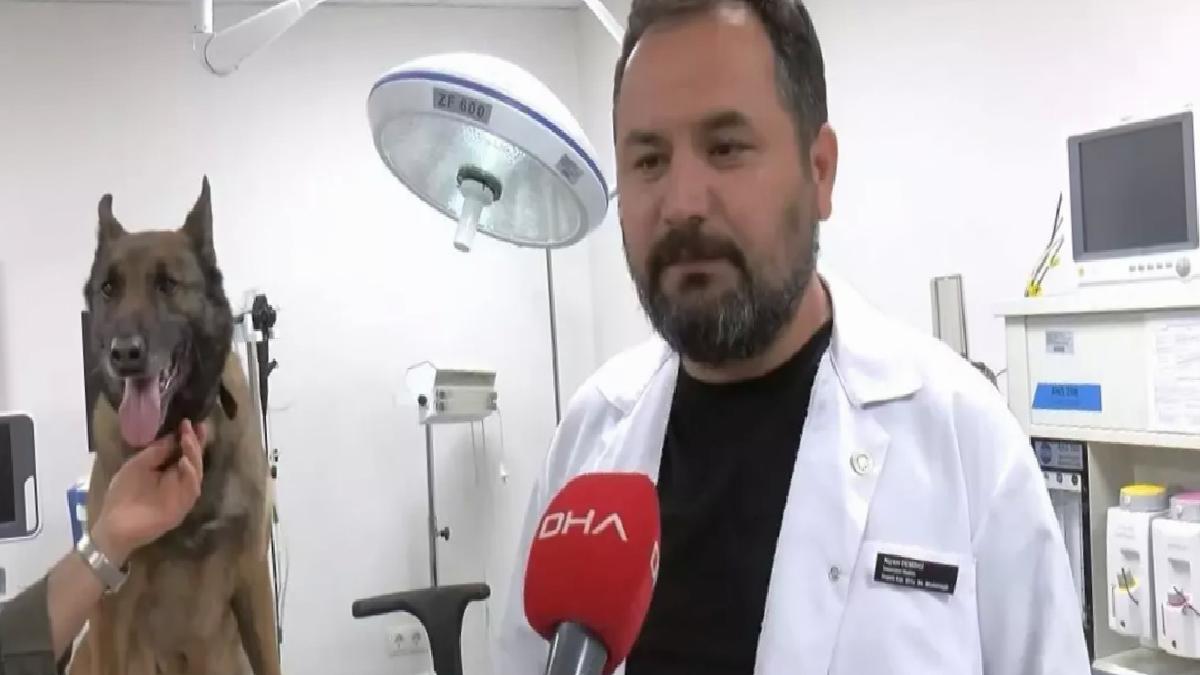 Emekli Narkotik Köpekleri Blacky ve Ranger