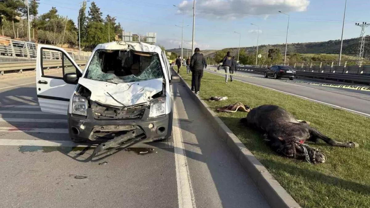 Gaziantep’te Polis Aracına At Çarptı