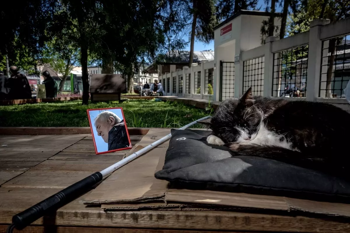 Görme Engelli ile Sokak Kedisi Arasında Sıcak Dostluk