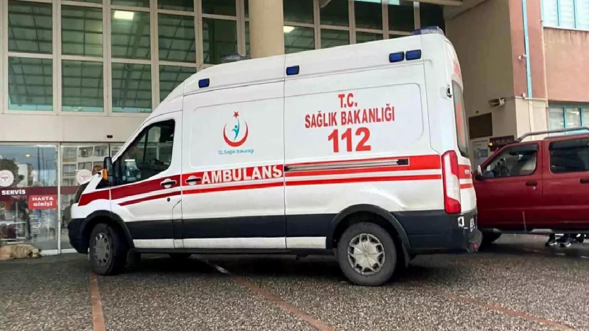 Güreş Boğasının Saldırısı: Genç Adam Hayatını Kaybetti