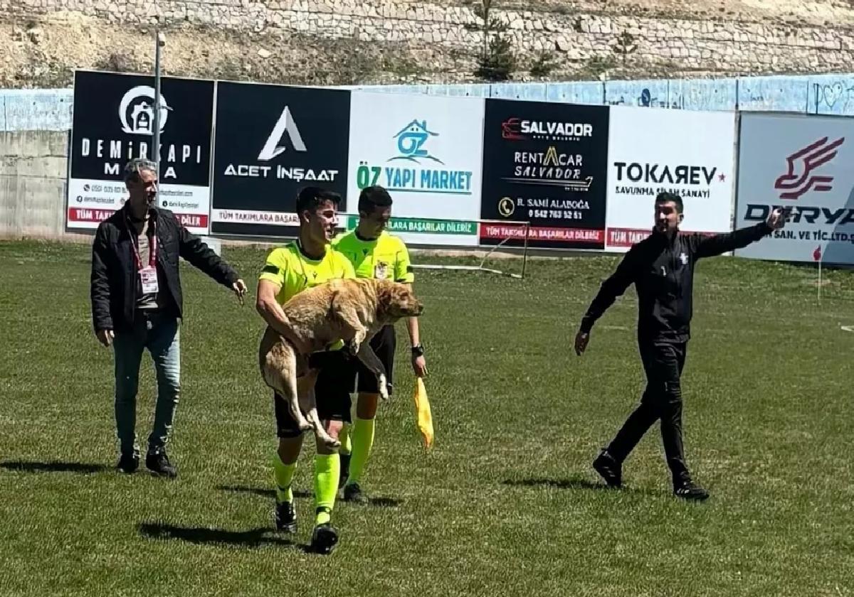 Hakem, Sahaya Giren Köpeğe Kırmızı Kart Gösterdi