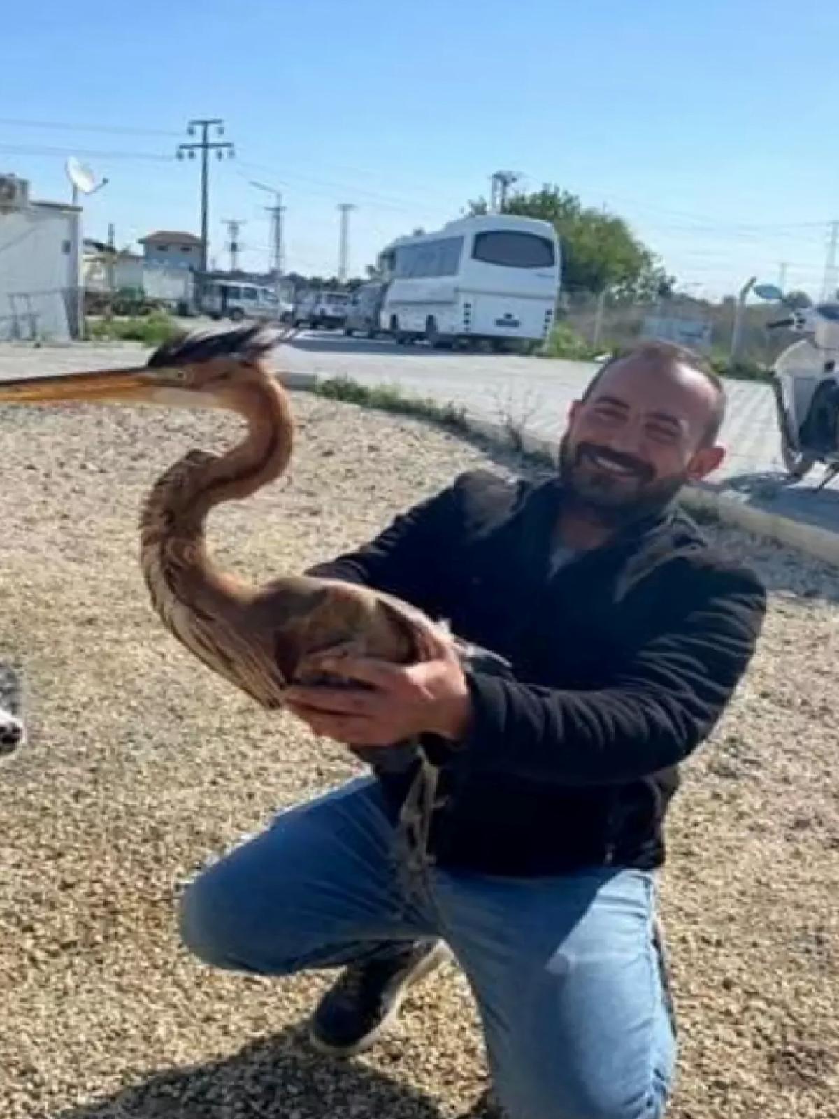 Hatay’da Yaralı Ergüvani Balıkçıl Bulundu