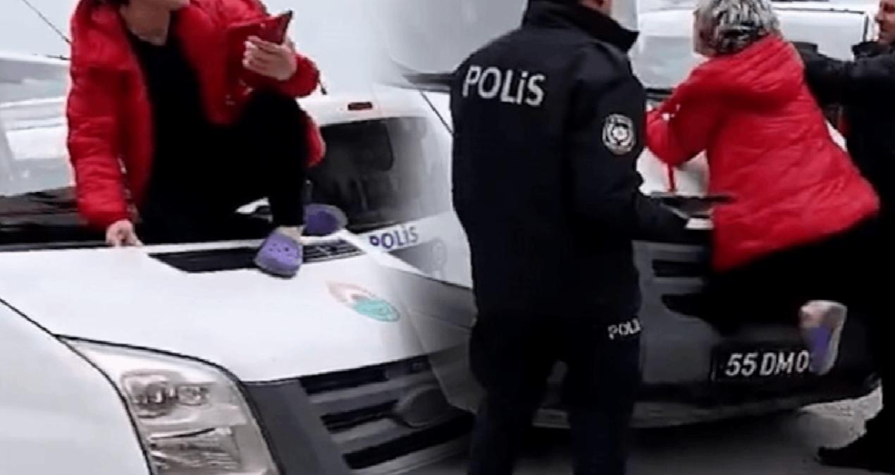 Hayvanları toplayan zabıtaya kadın müdahalesi: Polis böyle ikna etti