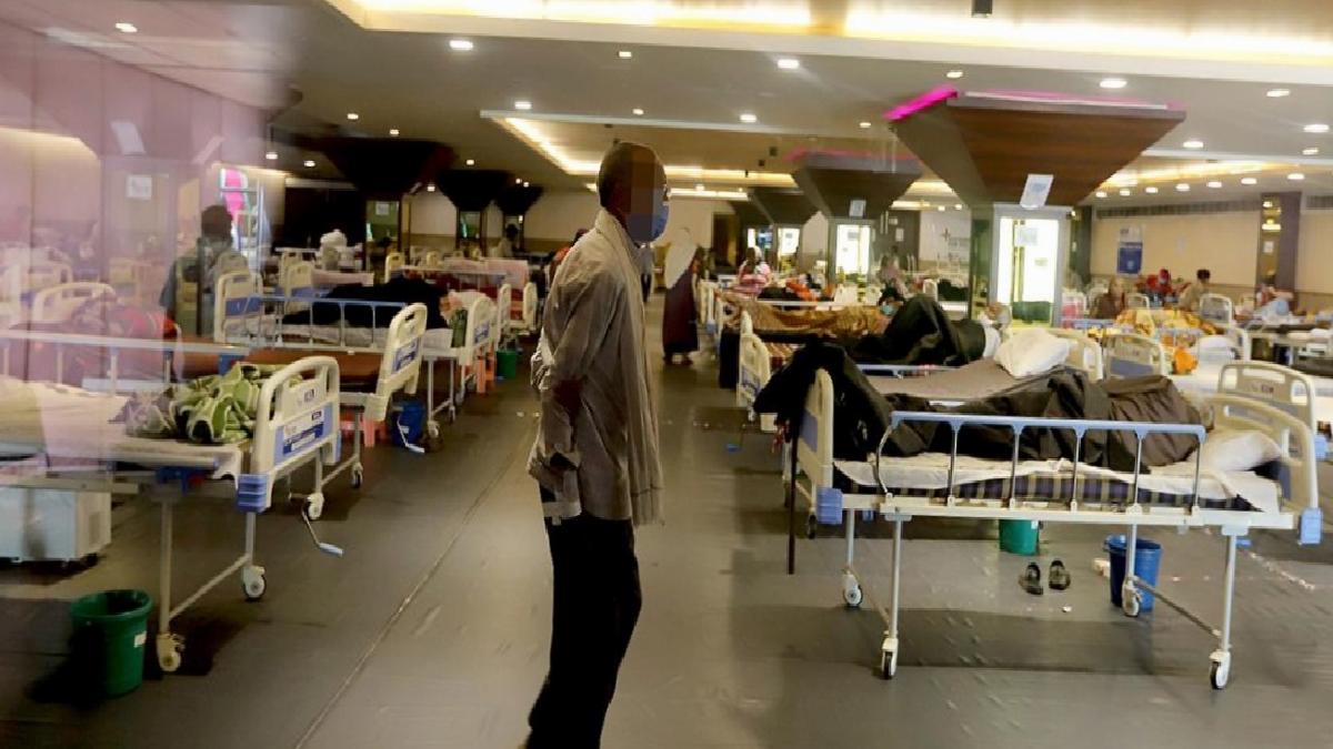 Hindistan’da ölü kertenkeleden zehirlenen 65 öğrenci hastaneye kaldırıldı