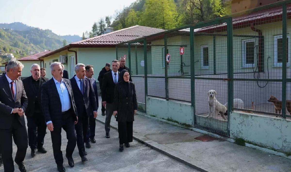 İçişleri Bakan Yardımcısı Rize’de İncelemelerde Bulundu