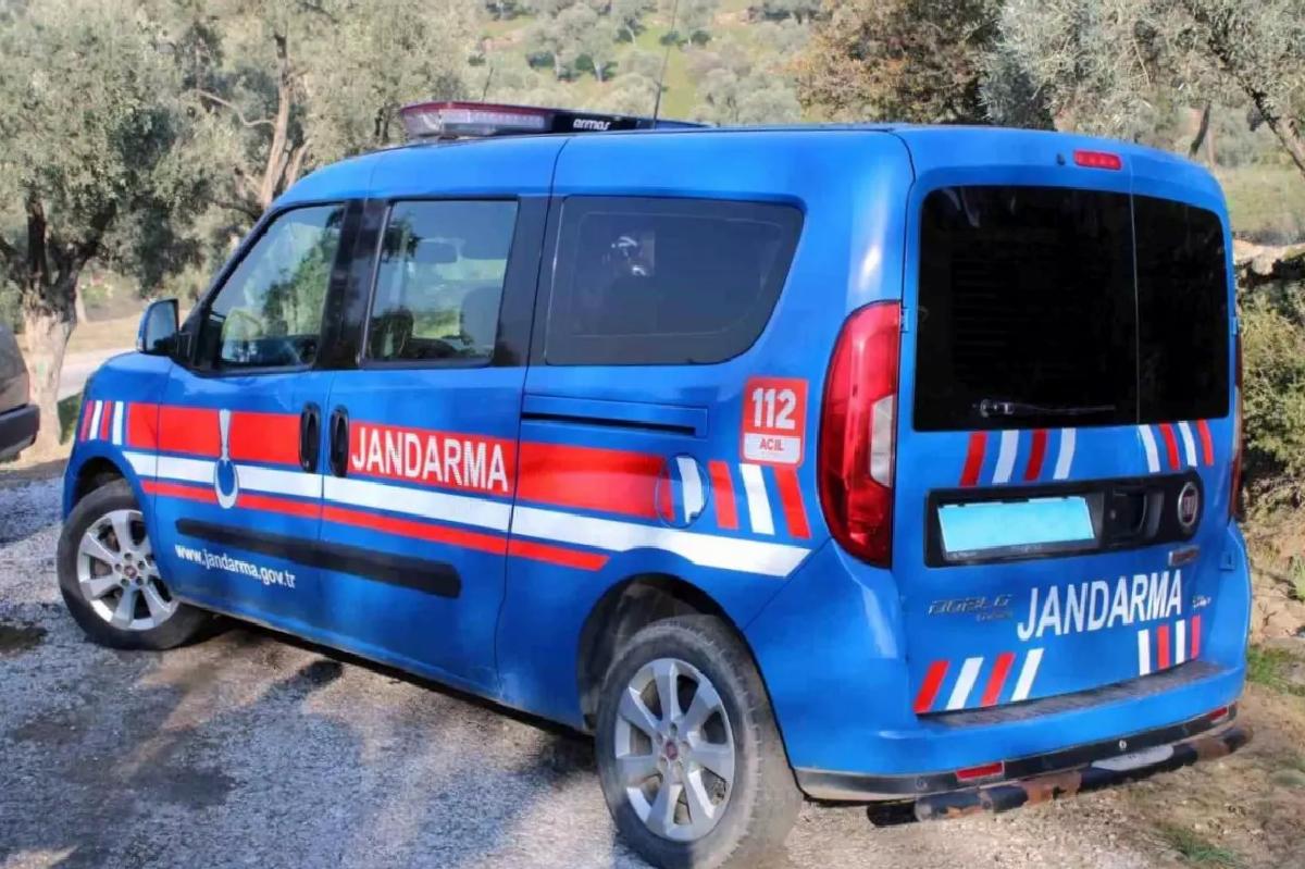 İncir Hırsızlığı: 4 Şüpheli Suçüstü Yakalandı