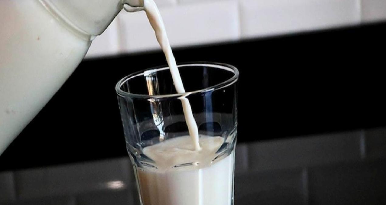 İnek veya keçi sütünü solladı: Bu süt kötü kolesterolü düşürüyor