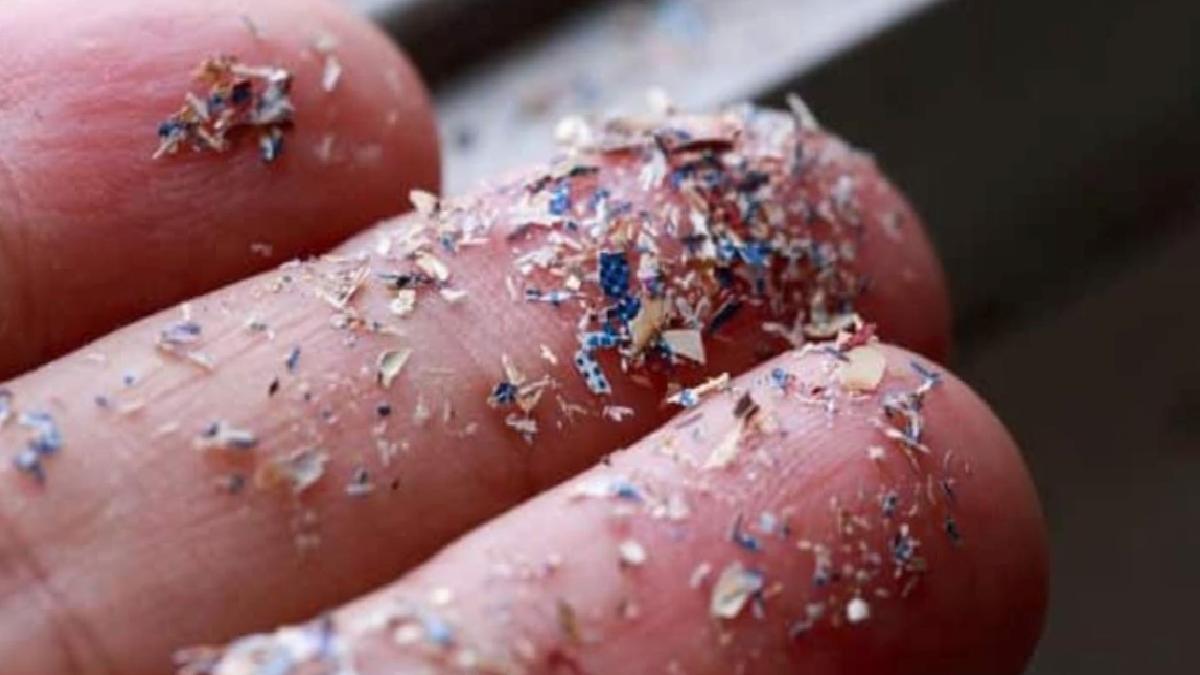 İnsan yumurtalık sıvısında ilk kez mikroplastik bulundu