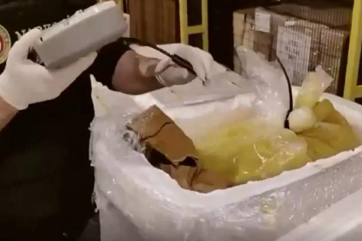 İstanbul Havalimanı’nda 455 kilo kokain ele geçirildi