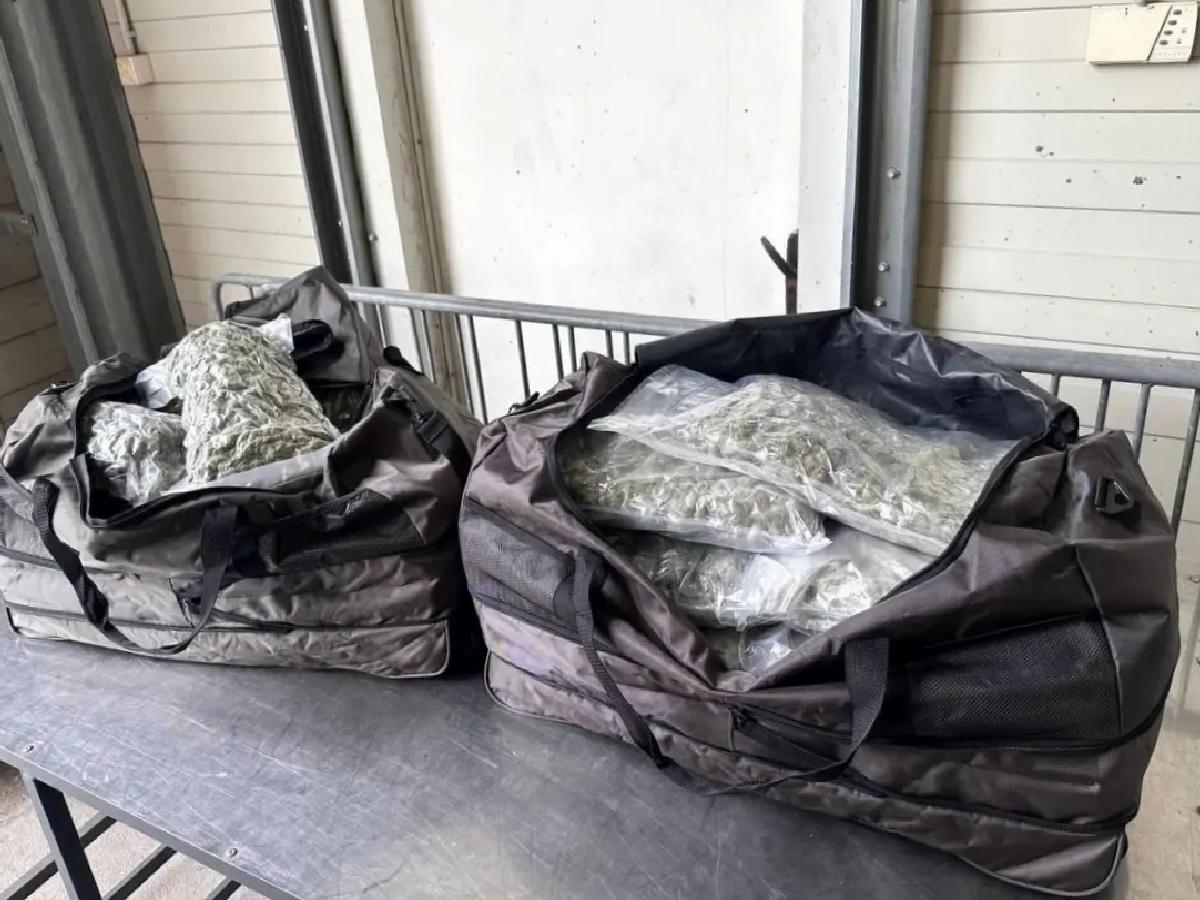 Kapıkule’de 23.8 kg Esrar Ele Geçirildi