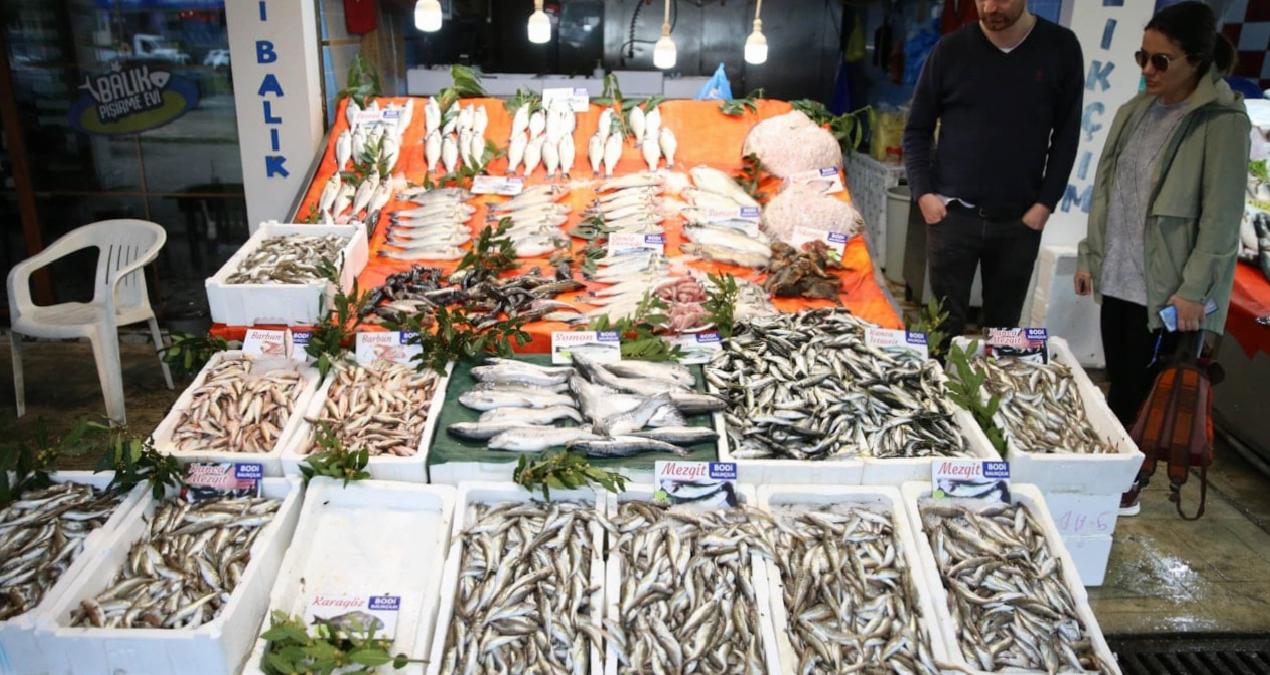 Karadeniz’de balık bolluğu: Palamut ucuza, kalkan ise yarı fiyatına satılıyor!