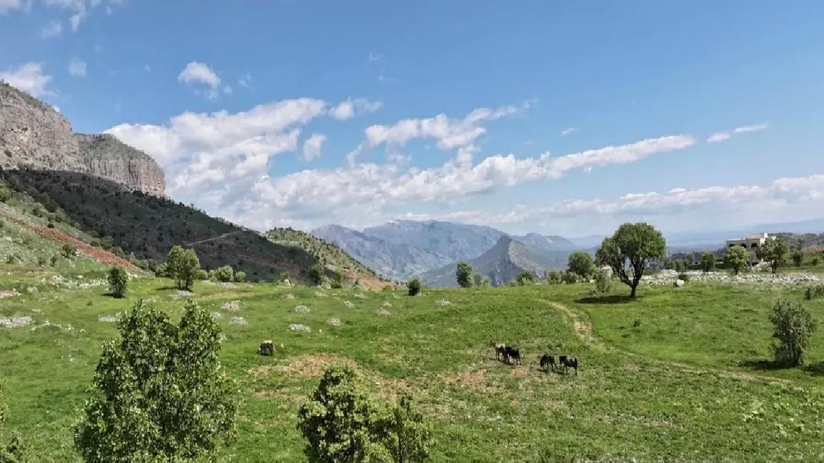 Keldaniler Aksu’ya Dönüyor