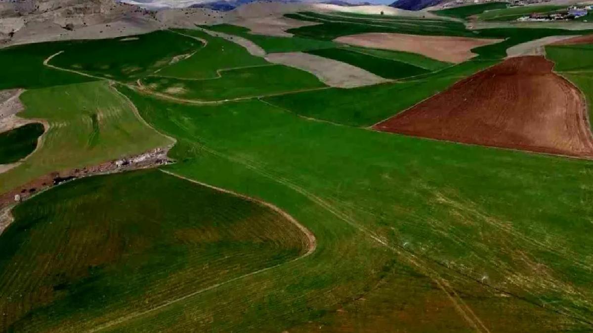 Kırıkkale Yağmuru Çiftçiyi Sevindirdi