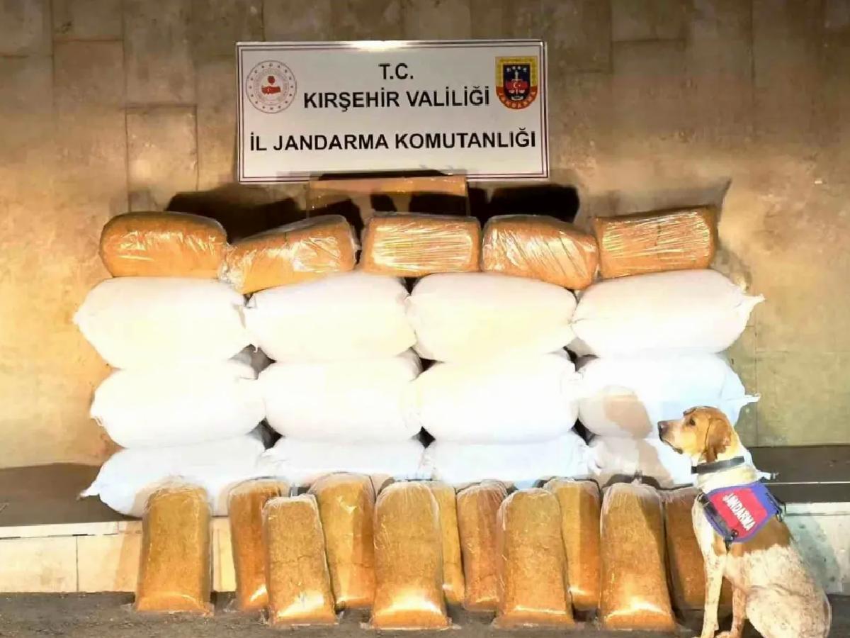 Kırşehir’de 633 Kilo Kaçak Tütün Ele Geçirildi