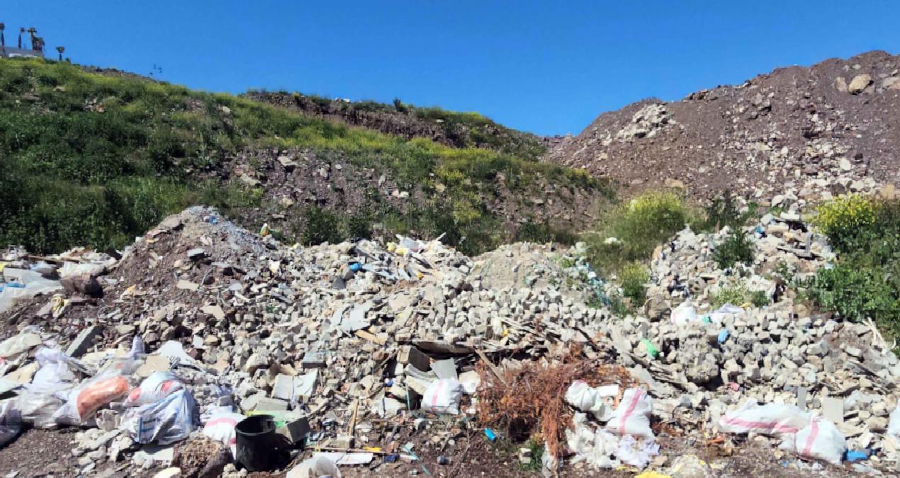 Koruma altındaki Halep çamı ormanını çöplüğü çeviren şirkete milyonluk ceza
