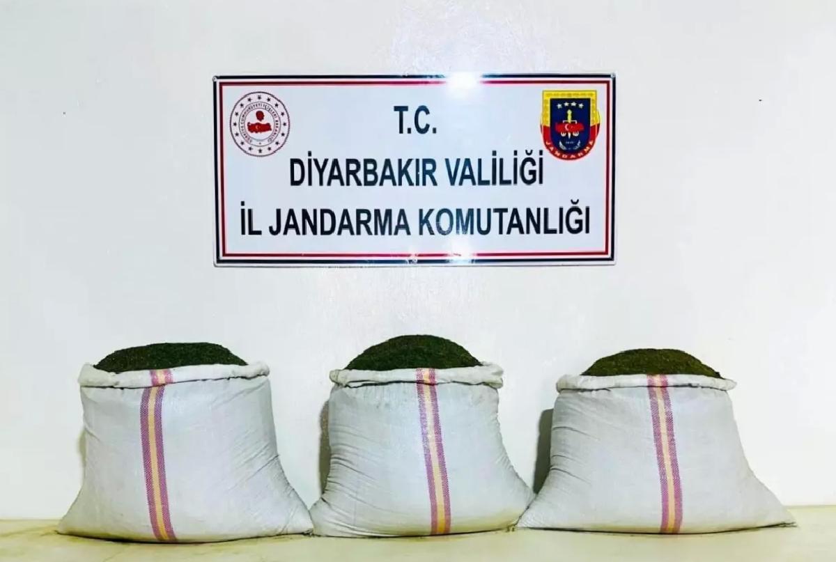 Lice’de Uyuşturucu Operasyonu: 18 Bin Kök Kenevir Ele Geçirildi