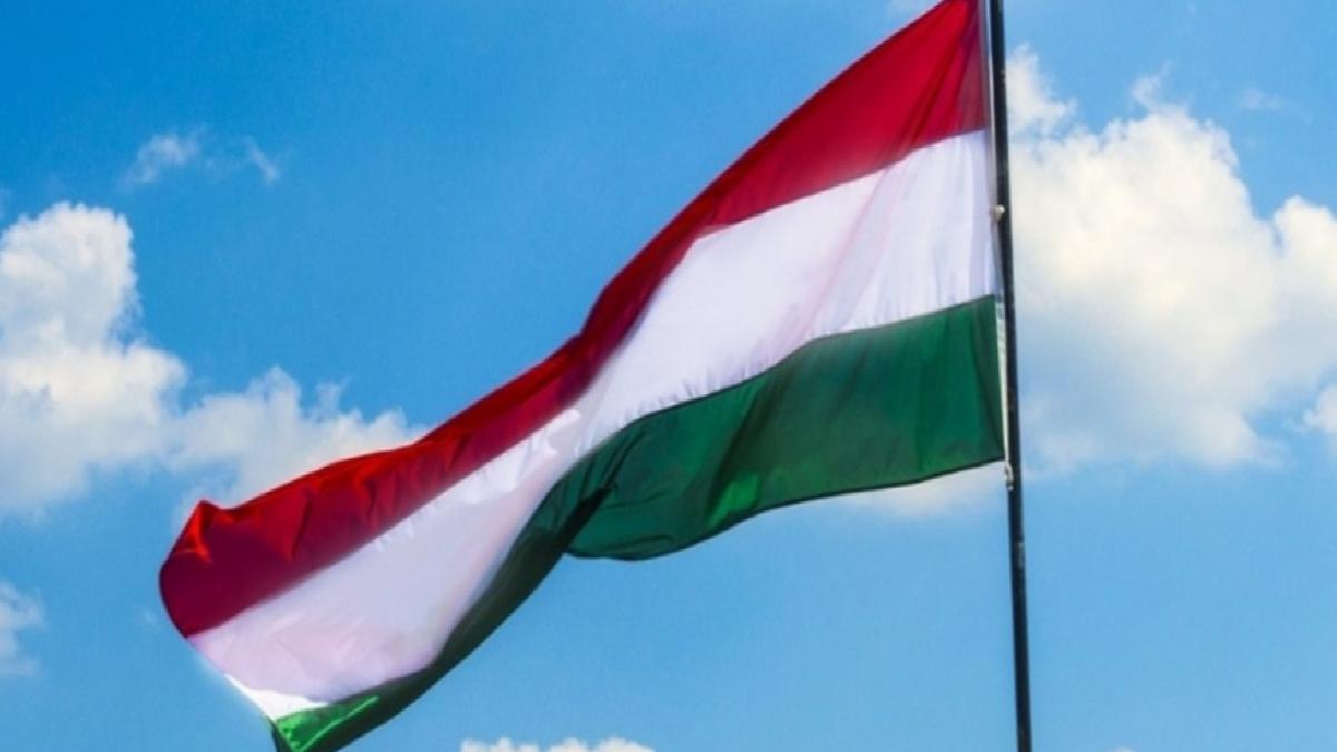 Macaristan’da meclise çifte vatandaşlığı kaldırma teklifi sunuldu
