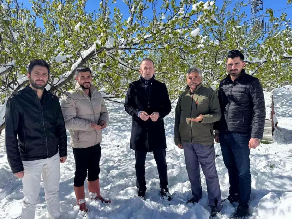 Malatya’da Kayısı Bahçeleri Zarar Gördü