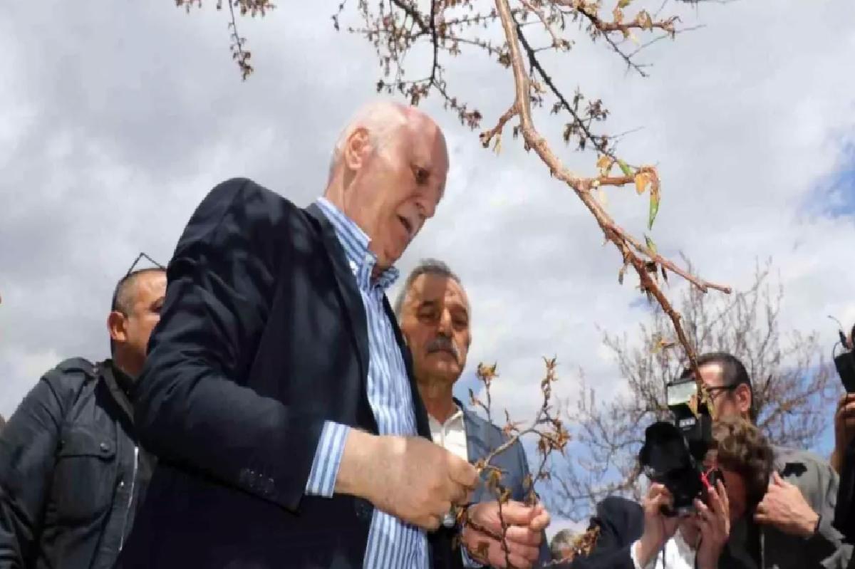Malatya’da Kayısı Bahçeleri Zirai Don Nedeniyle Zarar Görüyor
