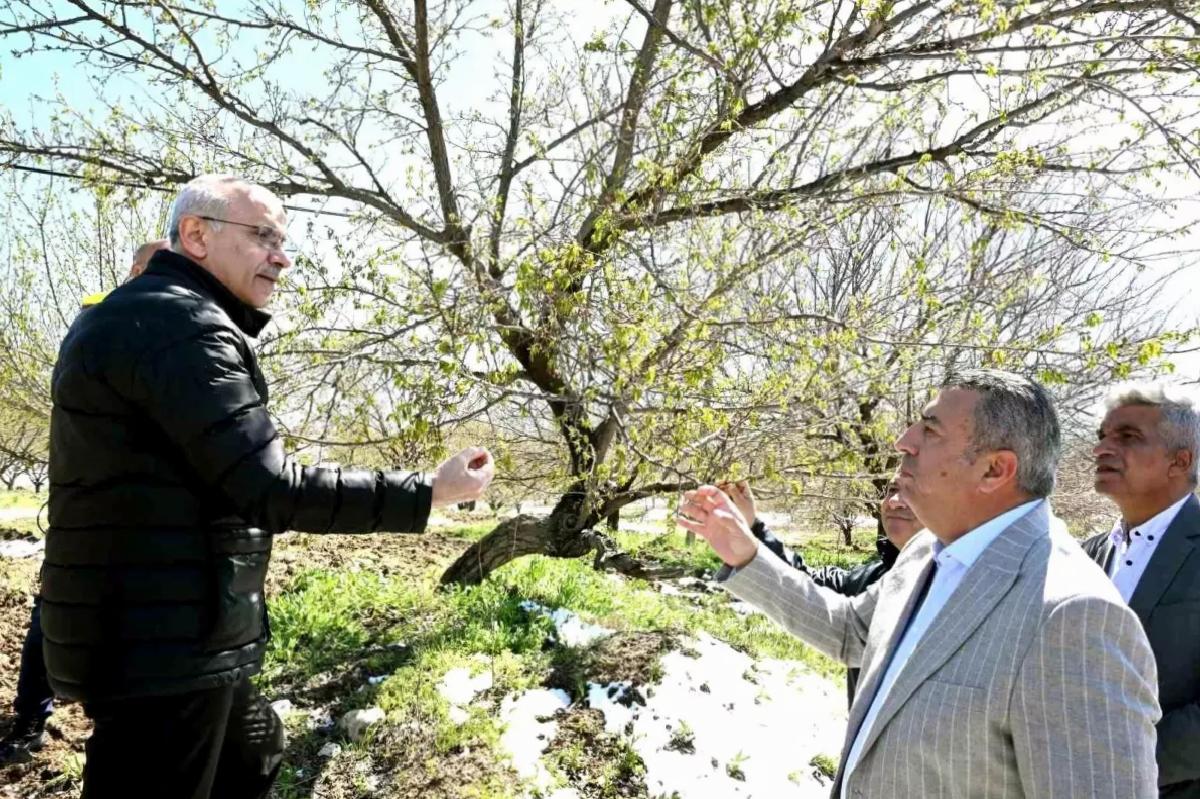 Malatya’da Zirai Don Felaketi: Başkan Er, Üreticilerin Yanında Olacaklarını Vurguladı