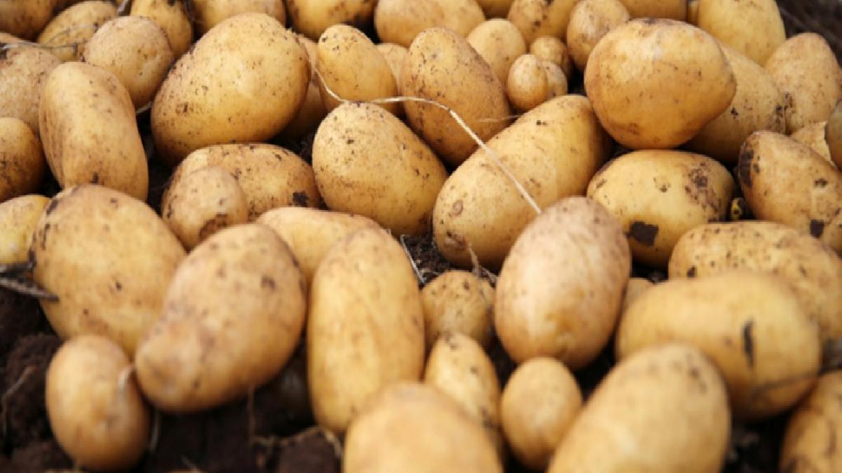 Martta fiyatı en çok artan ürün patates, en fazla düşen uçak bileti oldu