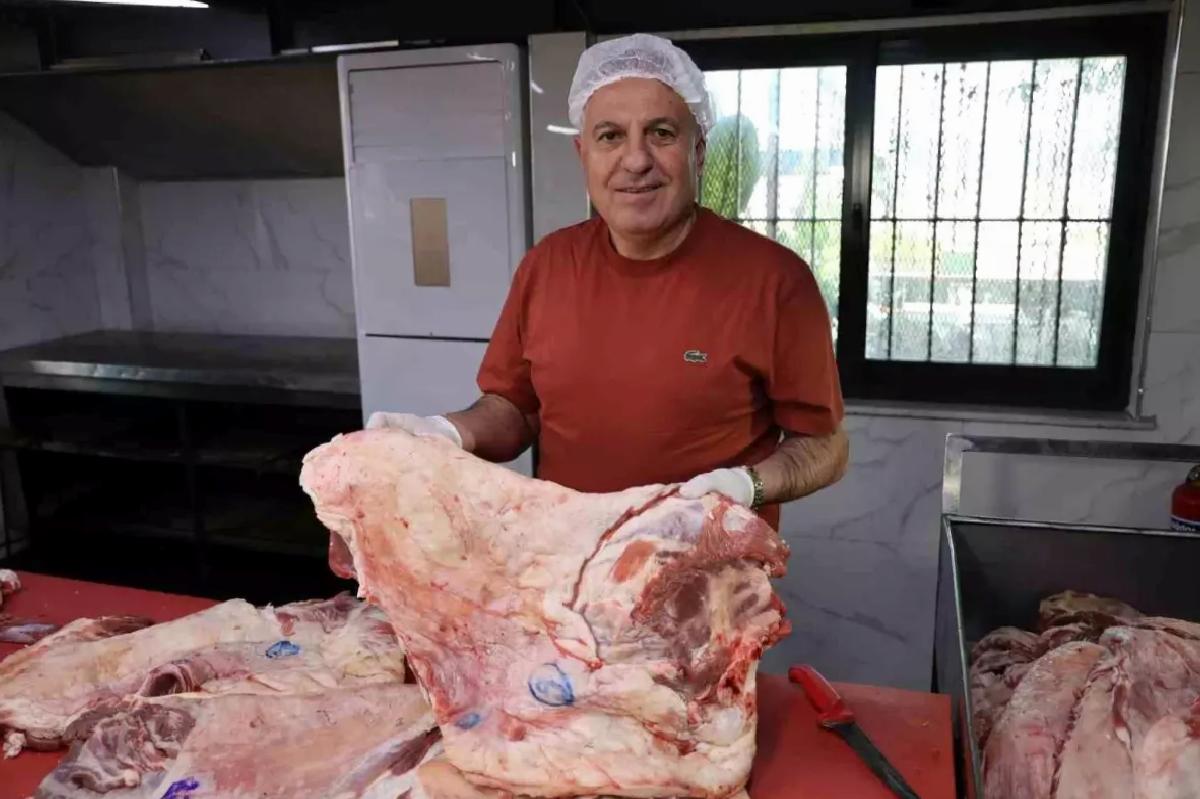 Mühürsüz Etler Sağlığı Tehdit Ediyor
